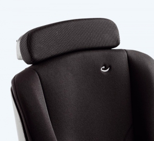 Анатоомическое увеличение спинки